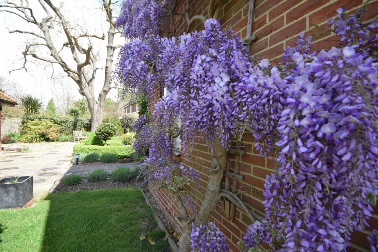 Wisteria Way, Tangmere Exteriör bild